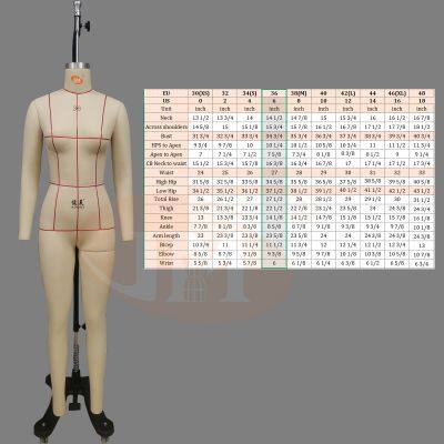 Europe & US Standard Size 36 US 6 Women's Full-Body Dress Form - 20-Year Brand, Factory Direct for Garment Pattern Making photo-4
