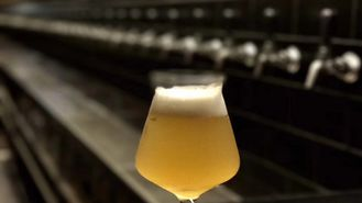 Pub Craft Beer Brewing Equipment Steam Heating Single Phase Or 3 Phase photo-2