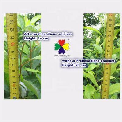 Hot Sale Plant Growth Regulator Prohexadione Calcium 10%WDG photo-2
