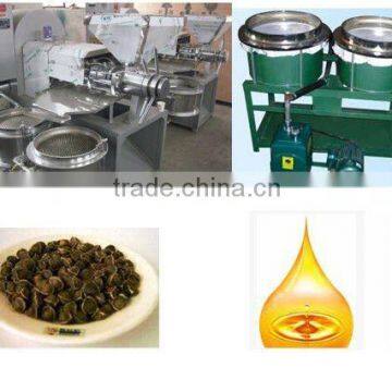 new type screw moringa oil press (6YL-130)