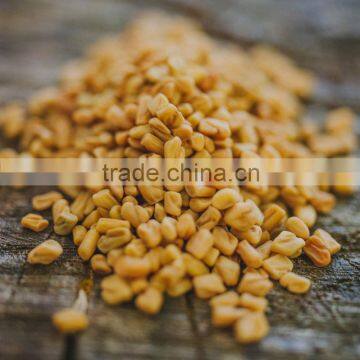 Fenugreek Seeds