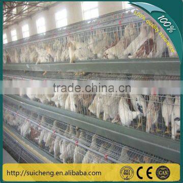 Guangzhou Factory Free Sample battery chicken cage/poultry chicken cage/chicken cage design