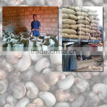 Outturn 47-52 Lbs/80 KGS Min Moisture <10% RCN/Cheap Raw Cashew Nuts in shell/African Cashew low price (skype: ste.nanking)