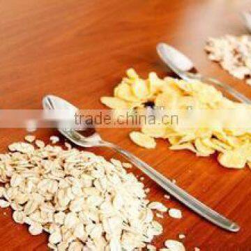 2016 Chinese Hot Sale Corn Flakes Production Machinery photo-6