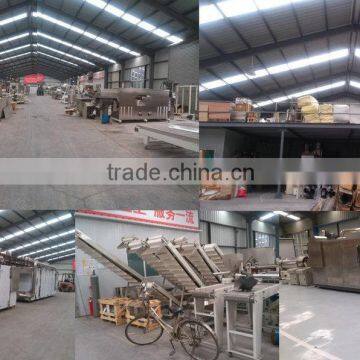 3D Frying Bugle Pellet Snacks Production Line