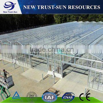 Multi-span agricultural glass greenhouse