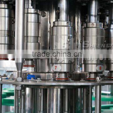 Cost Effective Automatic PET Bottle Carbonated Water Filling Machine photo-2