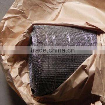 Electro Galvanized Weave Wire Netting photo-3