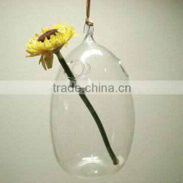 Glass Hanging Vase