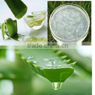 Aloe Vera Pulp