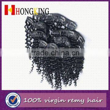 Human Hair Double Drawn Indian Clip Hair Extension