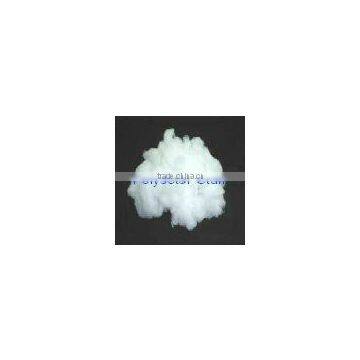 Polyester Fibre