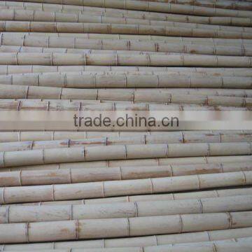 natural bamboo poles construction