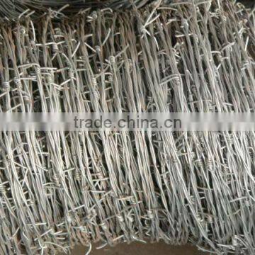 cheap price Galvanized Barbed Wire with 4 Points / razor barbed wire