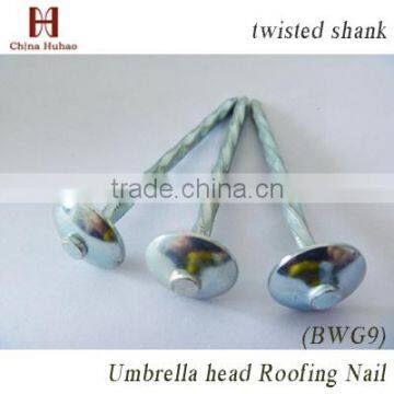 Q195 roofing nail umbrella head from china huhao manufacturer