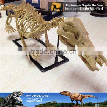 MY Dino-A12 Museum Quality Artificial Prehistoric Animal Fossil Replica