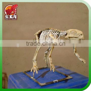 The Animal skeleton statue