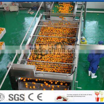 fresh fruit orange processing line