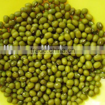 Chinese Small Green Mung Beans