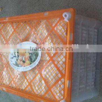 Names of Fruit Products Mandarin Orang With Complete Price photo-3