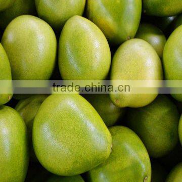 Best Selling Products Honey Pomelo From Pinghe