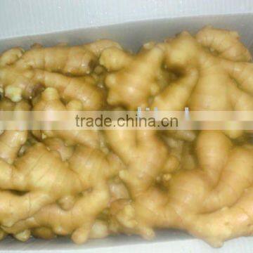 Semi dry ginger for Europe