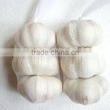 2013 CHINA JINING HEZE NEW FRESH GARLIC