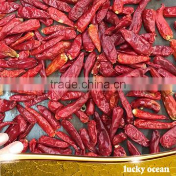 stemless dried red chilli