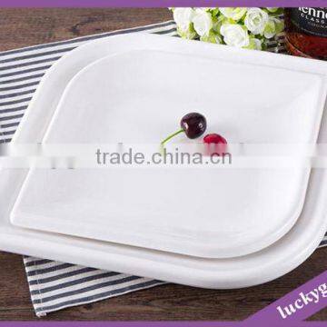 Good Quality White Melamine Resin Plate photo-4