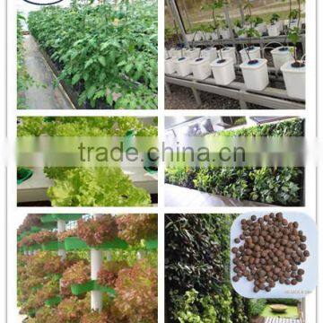 Greenhouse equipment growing media expanded clay pebble for greenhouse