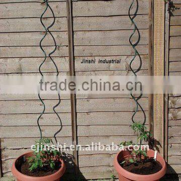 tomato spiral support stakes