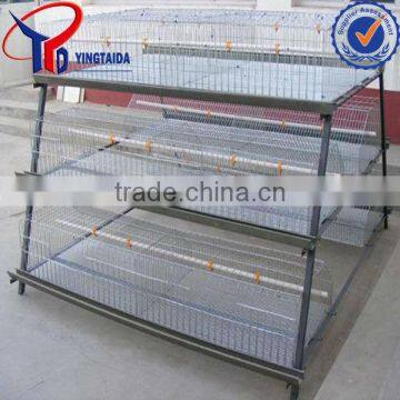 chicken laying cage with auto water system