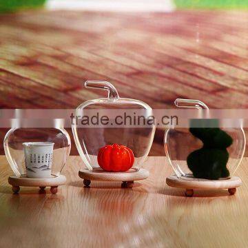 Micro landscape ecological Meaty plant vase Apple shape with wooden shape