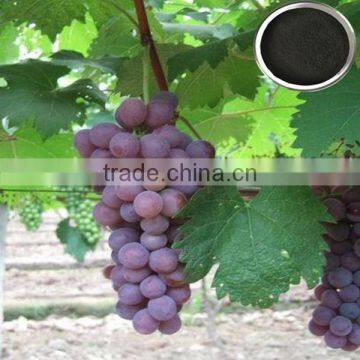 Powder Alginic Acid Sources Seaweed Extract Fertilizer for Soil Application