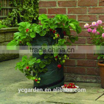 Cheap Vertical Flower Pouch With Many Holes Garden Baggrow Bag Holes Bottom Plant Bag photo-3