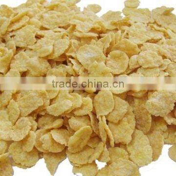 Corn Flakes Production Line photo-3