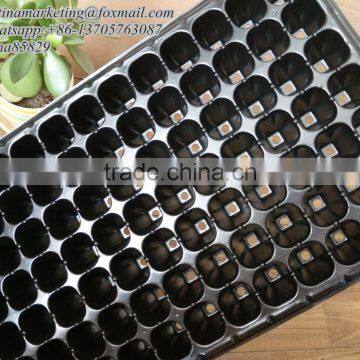 Black PS Material Plastic Type Plant Seed Growing Tray/ Vegetable Seedling Propagator/Flower Nursery Germination Tray photo-2