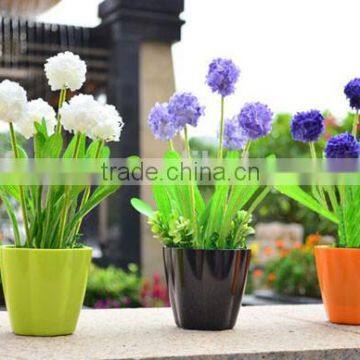 Wholesale Plastic Flower Pots /garden Creative Pot / Plastic Flower Pot Decoration photo-2