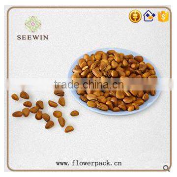 Cheap Environmental Round Plastic Dinner Plate photo-2