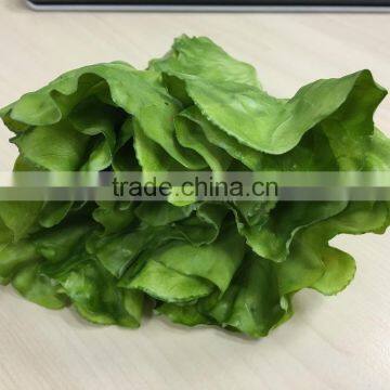 Artificial Romaine Lettuce Cos Lachca Sativa E09 02 photo-2