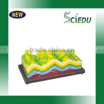 Classroom Teaching Geography Educational Model photo-5