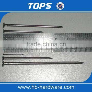 Common Nails in 25kg Boxes Size 1" to 6'' photo-3