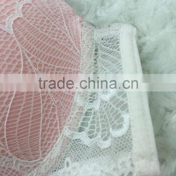 2017 Hot Sale Women Lace Stylish Push Up Bra And Panties Set Sexy Underwear photo-3