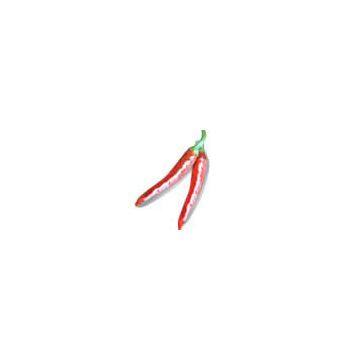 India Chillies