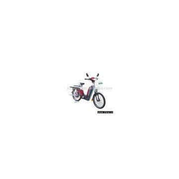 Electric bicycle