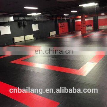 High Quality New Type Rolling Mat Take Fighting Pad For Sale photo-5