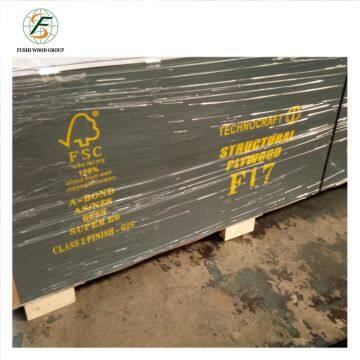 Formwork Plywood for Construction Made in China photo-3