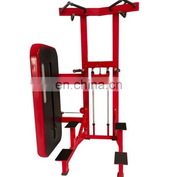 Commercial gym fitness equipment DIP/CHIN ASSIST free weight gym equipment