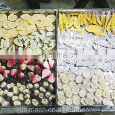 Suitable for Economical and Practical Freeze Dryer or Drying Equipment for Medicine Fruits and Vegetables photo-5