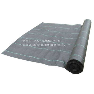 Wholesale Agriculture Weed Mat Ground Cover For Blueberry Trees Ground Cover Weeding Control Mat